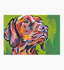 Vizsla Dog Bright colorful pop dog art Photographic Print