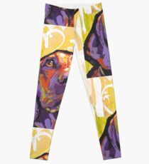 Vizsla Dog Bright colorful pop dog art Leggings