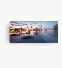 Memories of Menindee Metal Print
