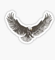 Eagle swoop Sticker