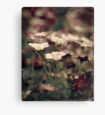 Bloom.... Canvas Print