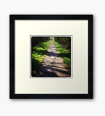 Walkers Framed Print