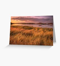 Willow Lake Violet Greeting Card