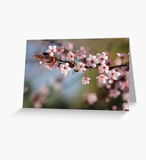 Blossom Greeting Card