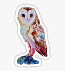 Barn Owl Sticker