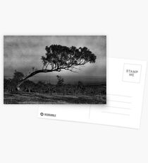 Bent over backwards Postcards
