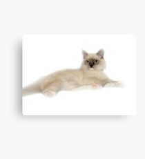 Chianti Canvas Print