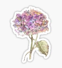 Autumn Hydrangea Sticker
