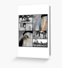 Horses Greeting Card