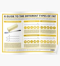 A Guide to Different Types of Fat Poster