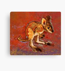 Kangaroo Joey Canvas Print