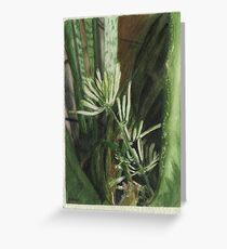 Blooming Snake Plant (Sansevieria trifasciata ) Greeting Card