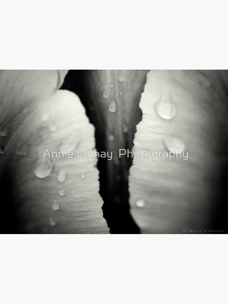 Wet by ajlphotography