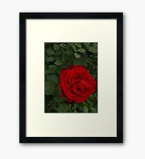 Don Juan Climber Framed Print