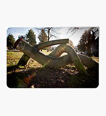 The Logman Cometh Photographic Print