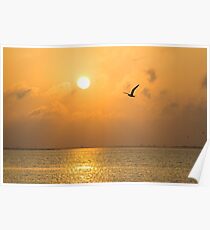 Sweet Serenity Poster