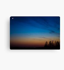 Hazynezz Canvas Print
