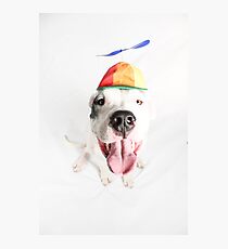 Pinwheel Photographic Print