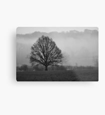 Lonely Metal Print