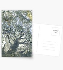 Tree of Life Postcards