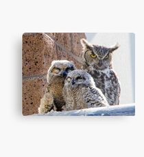 Horned Owl with Chicks Metal Print