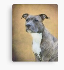 Mary Jane ~ Canvas Print