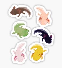 Axolotl Pattern Sticker