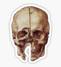 Da Vinci's skull Sticker