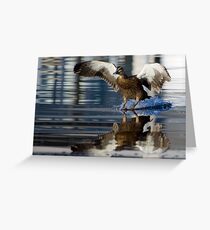 Duck Down Greeting Card