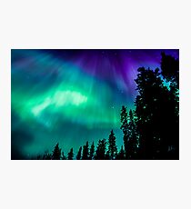 April23rd/12 Auroras #2 Photographic Print