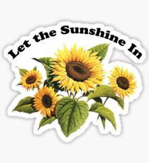 Let the Sunshine In Sticker