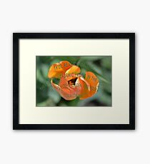 True Reality Framed Print