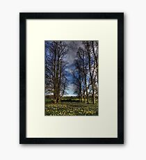 Daffs and Trees Framed Print