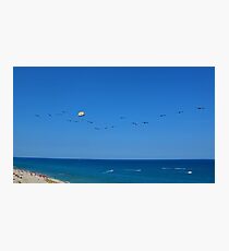 Flying Free Photographic Print