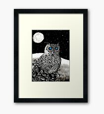 Spice Owl Framed Print