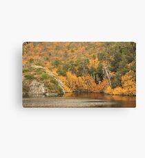 Crater lake fagus 2# Canvas Print