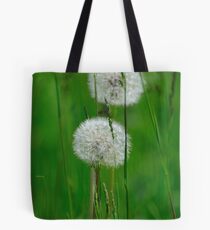 Two under the sun Tote Bag