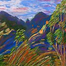 Windy Madera Canyon by Jack Bybee