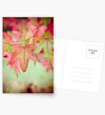 Autumn Leaves II Postcards