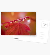 Autumn Leave III Postcards