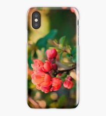 Red & Green iPhone Case