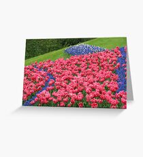 Hillside Tulip Display - Keukenhof Gardens Greeting Card