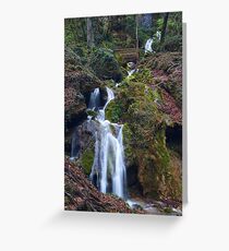 Playful Course Greeting Card
