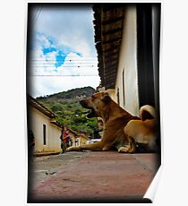 Hund! Poster