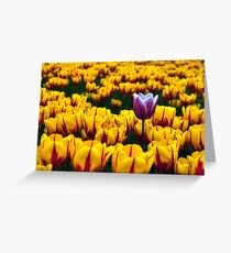 Tulips in the Valley Greeting Card