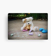 Winnie Surveys Her Chalk Drawings Canvas Print