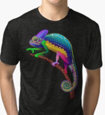 Chameleon Fantasy Rainbow Colors Tri-blend T-Shirt