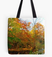 What awaits on the other side Tote Bag