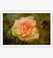 Damaged ~ a Rose with a Message Sticker