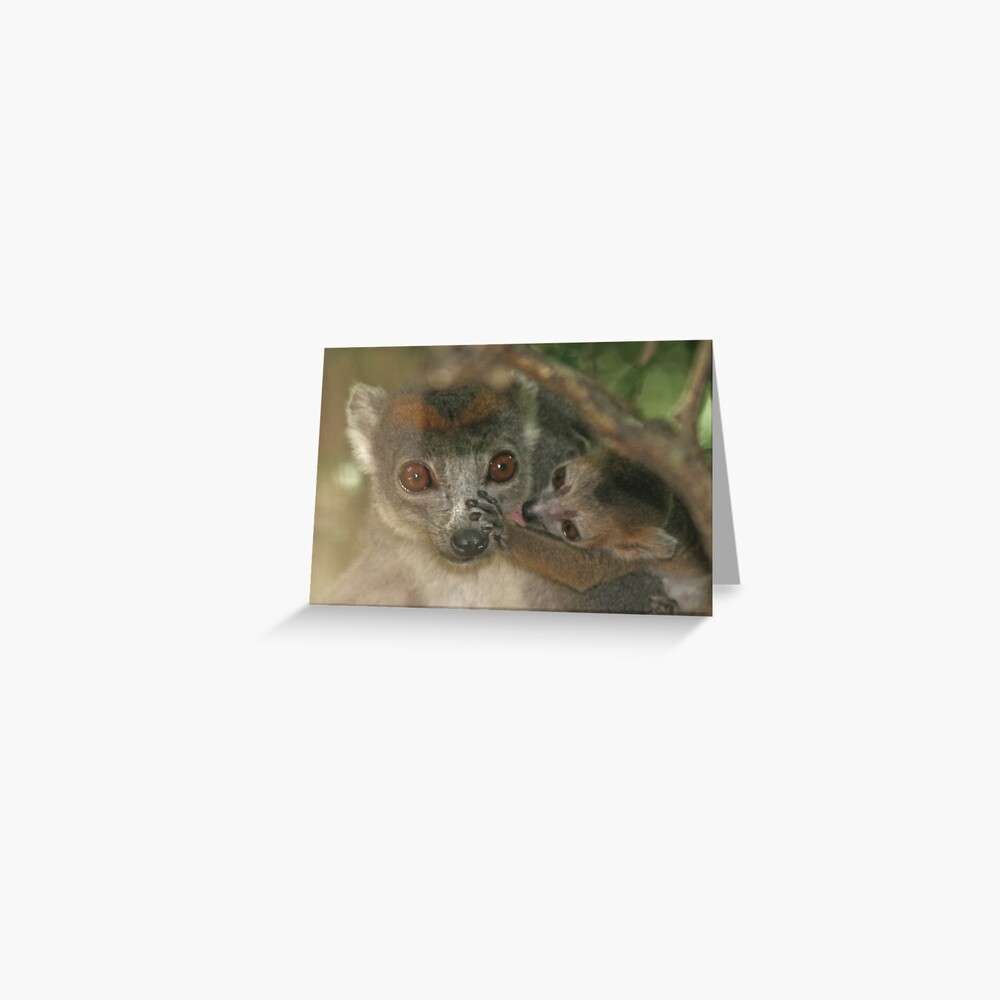 Mother's nose Greeting Card